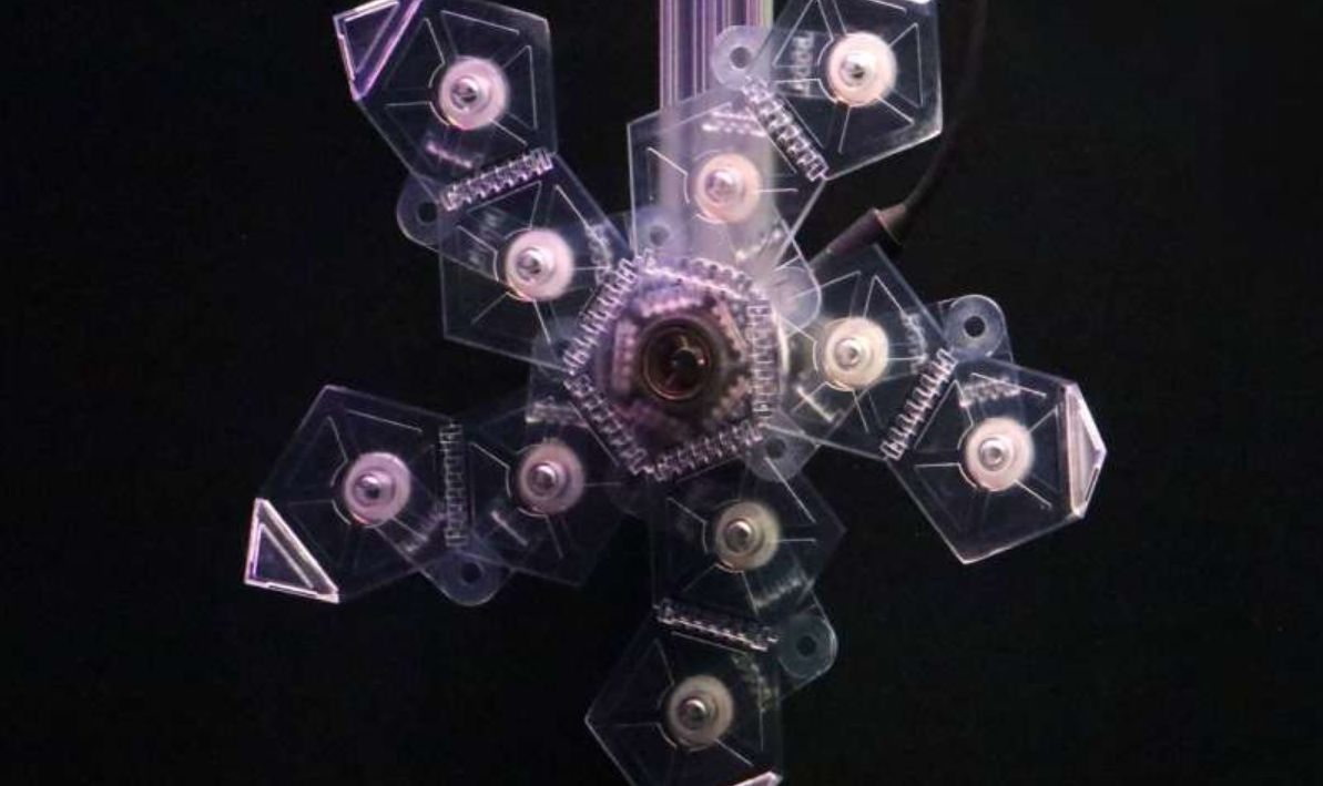 Harvard made an underwater pokeball for capturing sea creatures – EEJournal