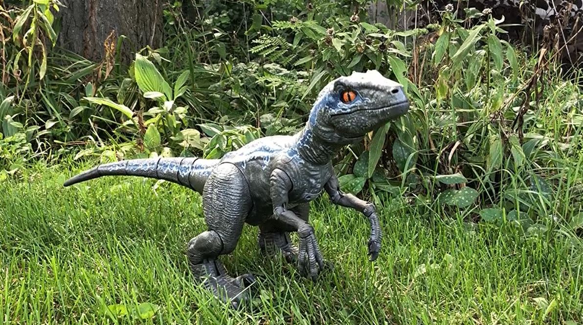 Sony can keep its plastic dog, this robotic raptor is the perfect pet ...