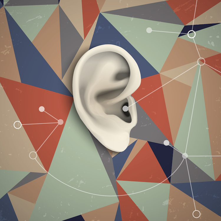 Auditory Adventures: Cadence HiFi Digital Signal Processing and Unlocking the Evolution of Hearing in Humans