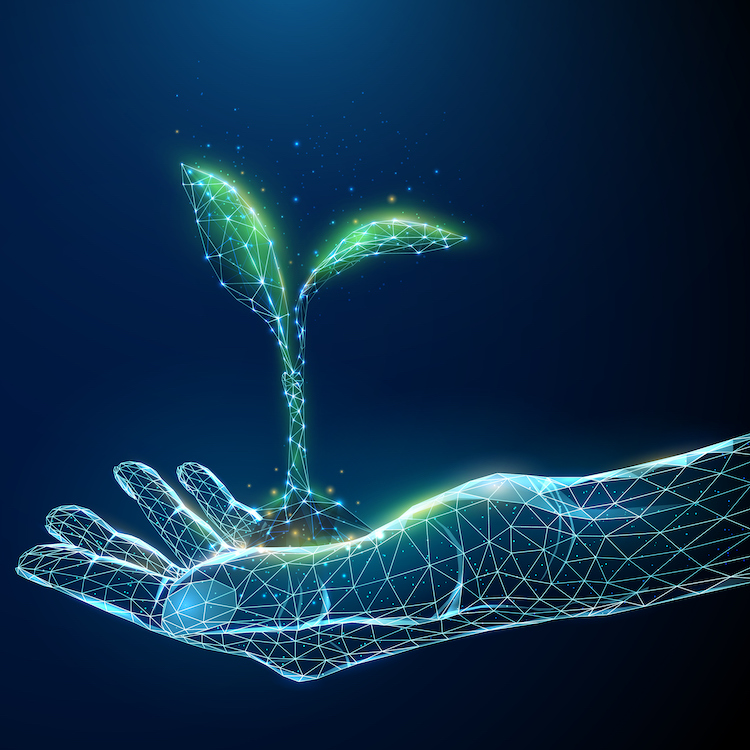 Seeds for a New Day: Edge ML, Evolution of IoT and Artificial Leaves that Generate Clean Fuel