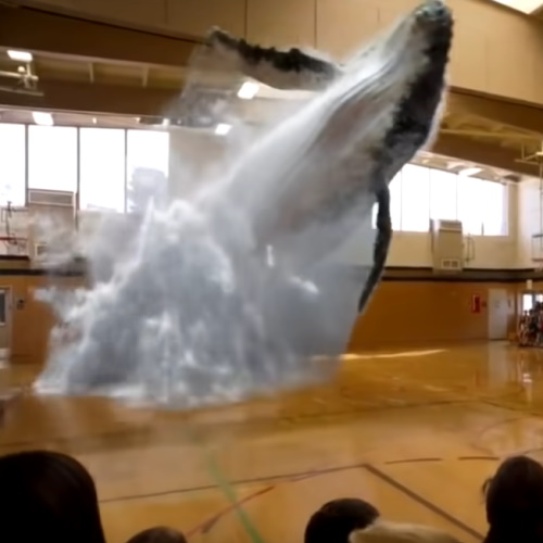 How Long Until We See Whales in Classrooms?