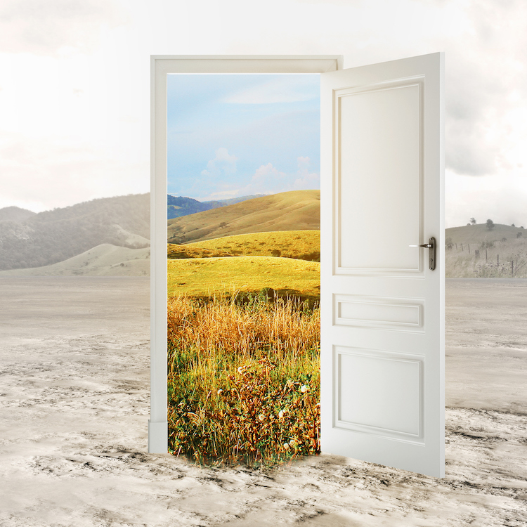 From Dreams to Reality: How Flux is Paving the Way for Ultimate Customization