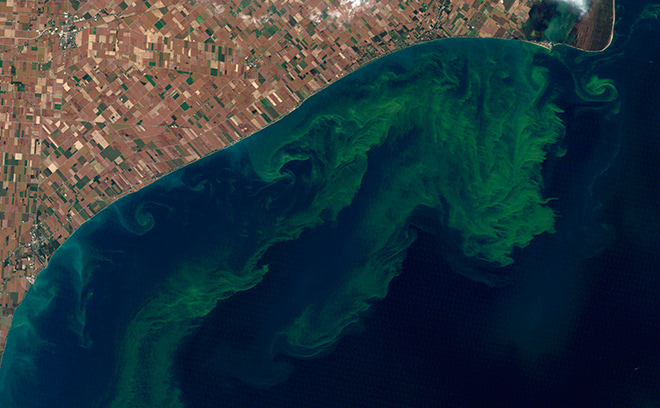 algae-algal-bloom-lake-erie-nasa.jpeg