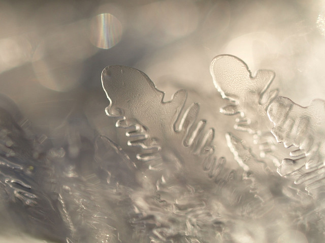 Ice-Crystals.jpg