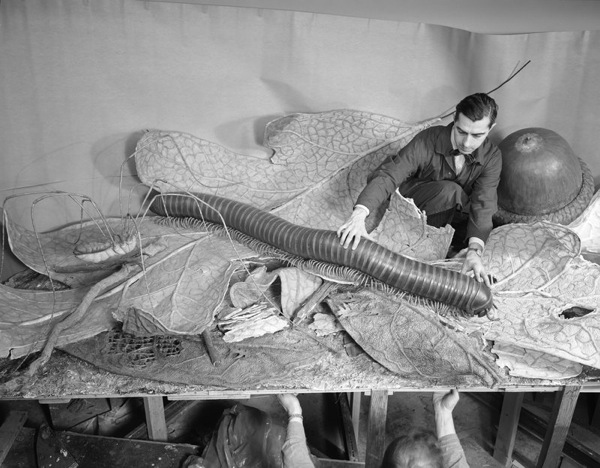 PicturingMuseum_diorama_1958.jpg