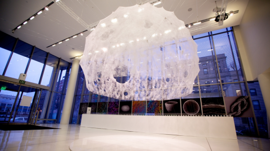 mit-media-lab-silk-pavilion.png