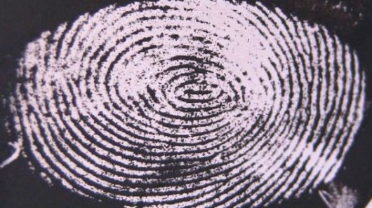 fingerprintscolorchangingfilm.jpg