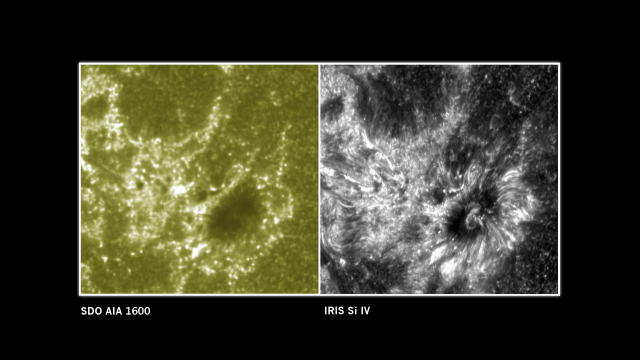 sdo_iris_labels-640x360.png