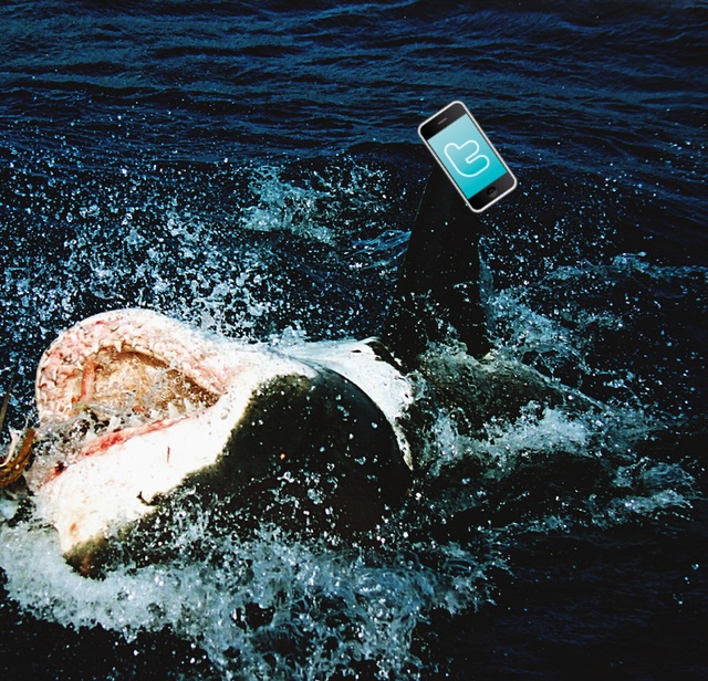 sharkfone.jpg