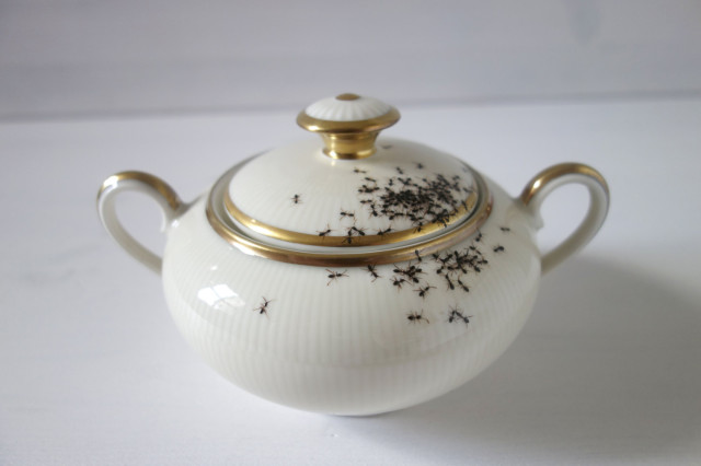 Ant-Sugar-Dish-640x426.jpg