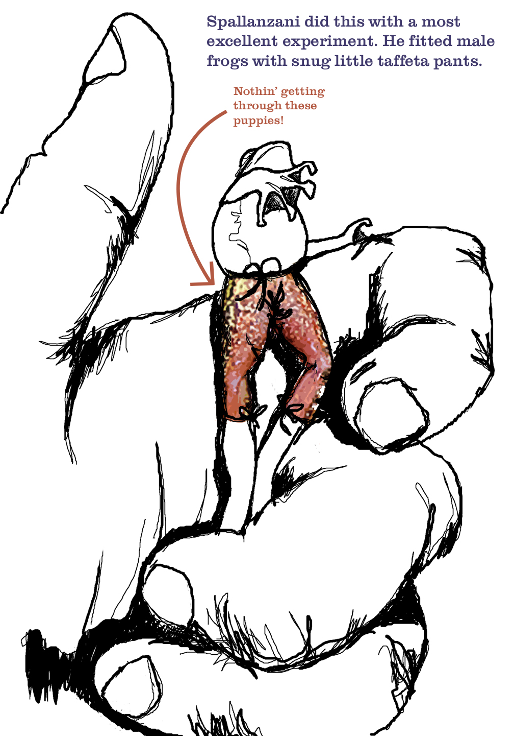Frog-in-pants_v45.jpg