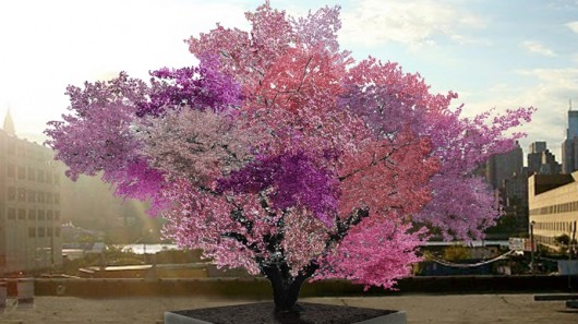 tree-of-40-fruit.jpg