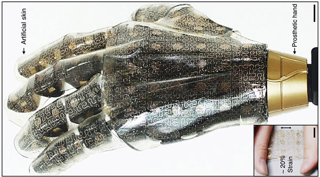 artificial-skin.jpg