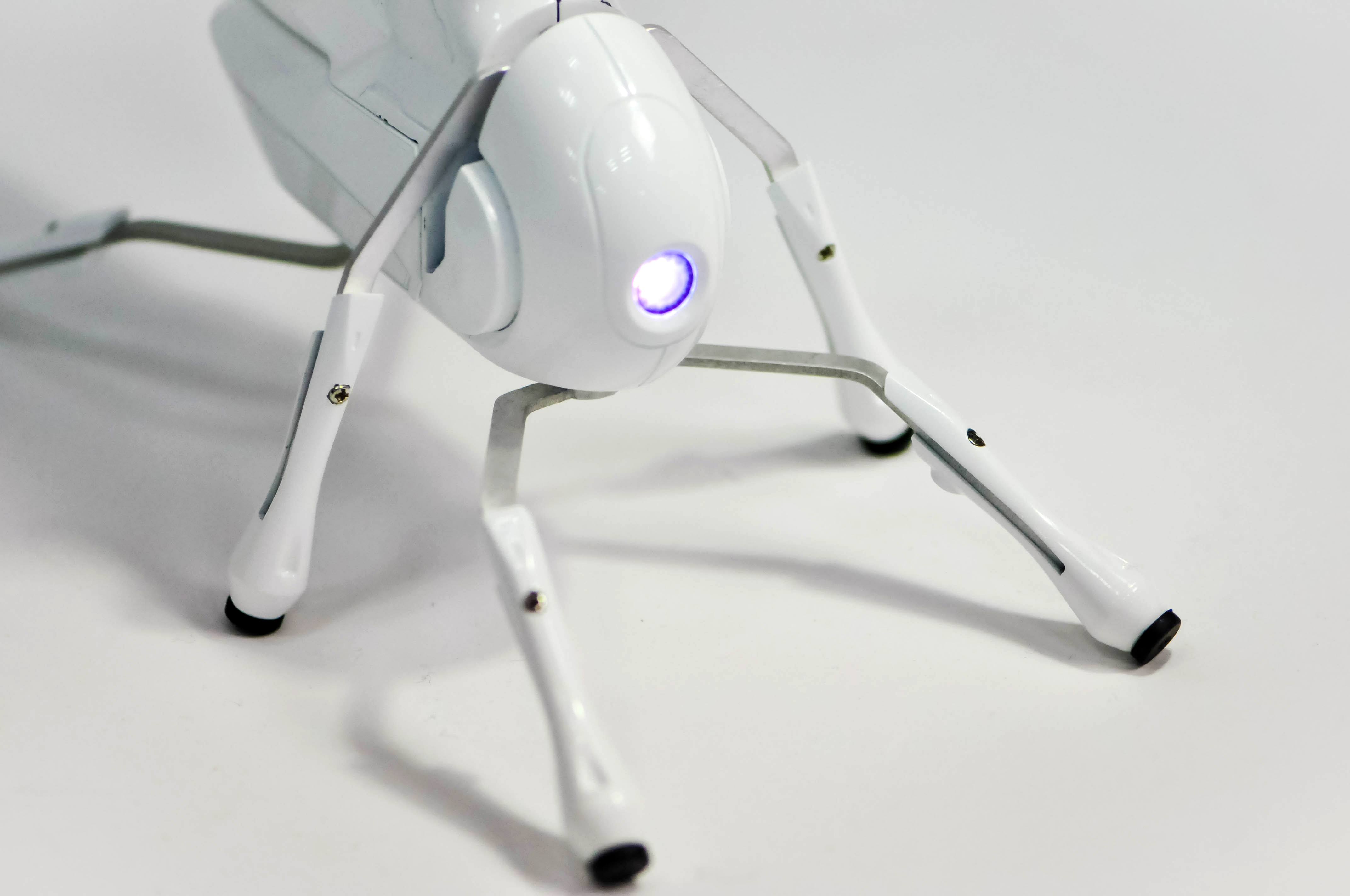 Antbo is a insect companion anyone can build – EEJournal