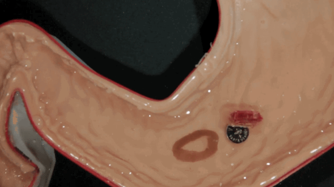 Screen_Shot_2016-05-15_at_2.41.26_PM.png