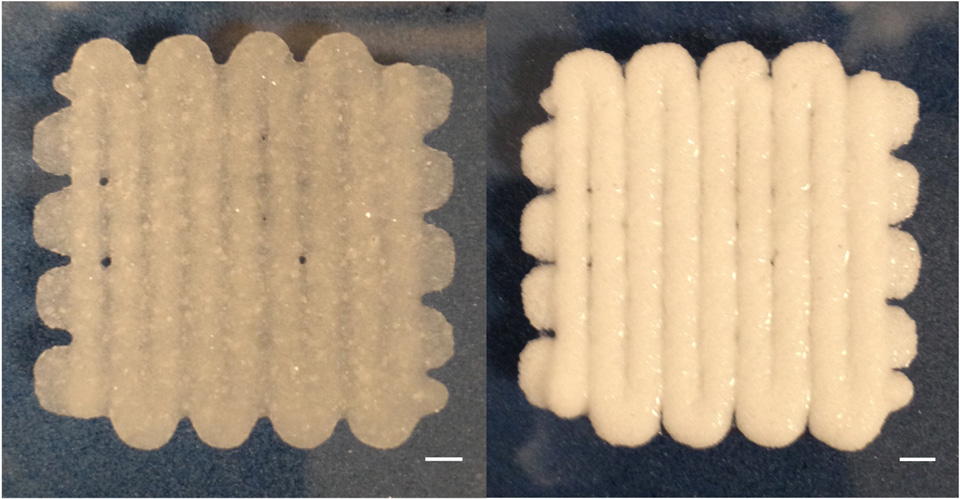 bioprinted-material.jpg